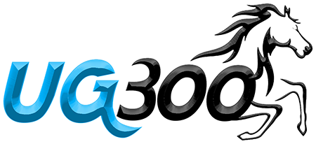 idug300 Logo